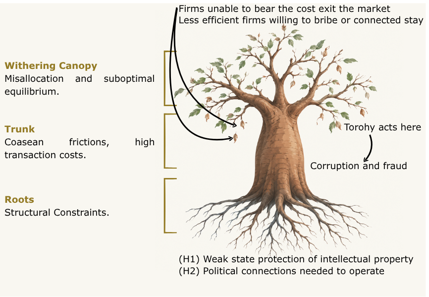 Baobab illustration